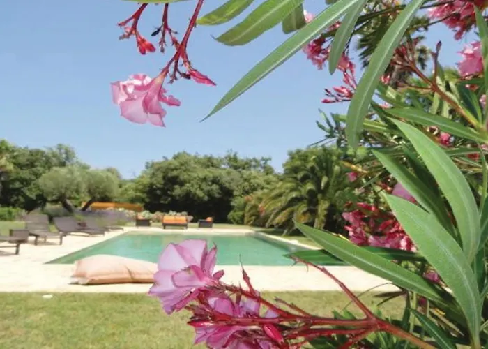Pet Friendly Home In Ramatuelle